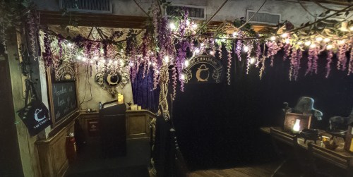 A cozy, dimly lit room adorned with purple flowers and string lights, featuring wooden decor and a welcoming atmosphere.