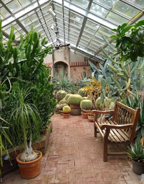 A greenhouse filled with various cacti and succulents, featuring a wooden bench and brick flooring.