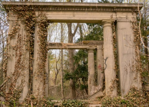 Overgrown stone ruins with tall columns, surrounded by trees and vines in a natural setting.