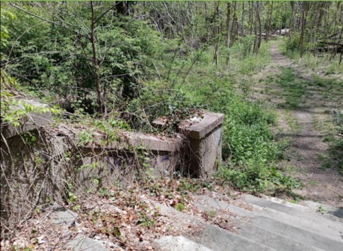 Overgrown stone steps lead down into a lush, green forest with a winding path in the background.