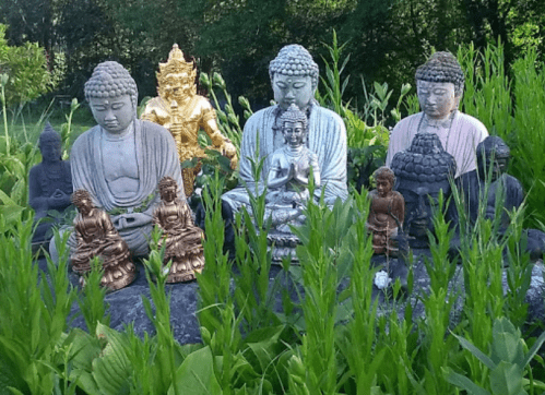 A serene garden scene featuring various Buddha statues surrounded by lush green plants.