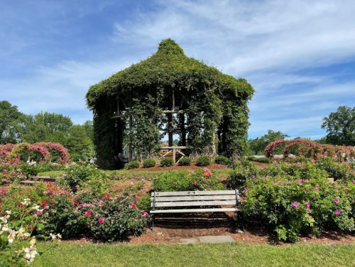 A lush garden with a vine-covered gazebo and blooming flowers, featuring a wooden bench in the foreground.