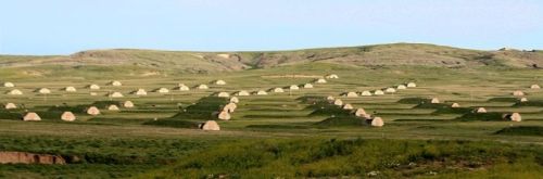 A vast landscape with rolling hills and numerous hay bales arranged in rows across a green field.