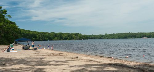 A sandy beach by a calm lake, with people enjoying the water and trees lining the shore under a blue sky.