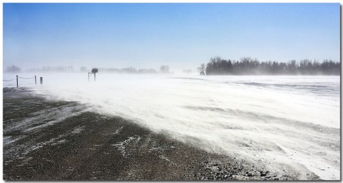 A snowy landscape with strong winds creating a blizzard effect, obscuring visibility and covering the ground.