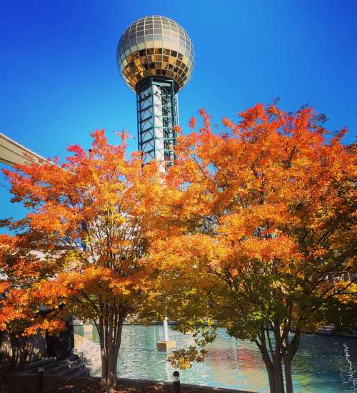 A vibrant autumn scene featuring orange trees and a tall tower with a spherical top against a clear blue sky.