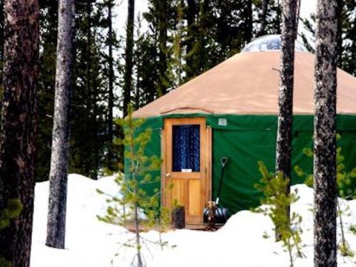 A green yurt surrounded by snow-covered trees, with a wooden door and a window draped in blue fabric.