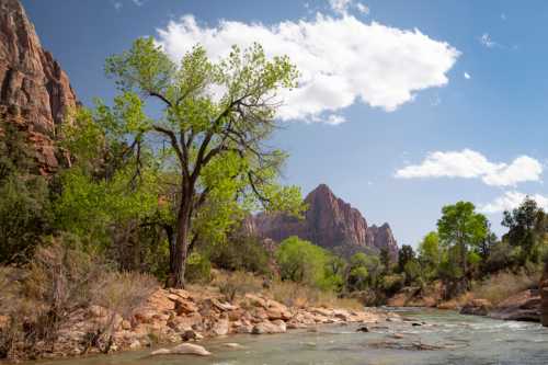 A serene landscape featuring a river, green trees, and rocky mountains under a blue sky with fluffy clouds.