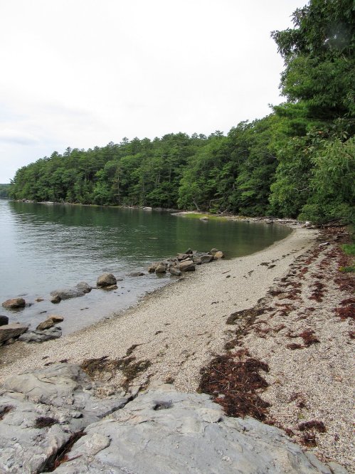 A serene shoreline with pebbles and rocks, bordered by lush green trees and calm water under a cloudy sky.