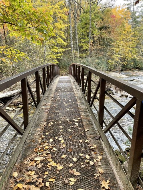 A narrow metal bridge over a stream, surrounded by trees with autumn foliage and scattered leaves on the path.