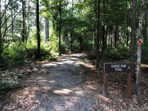 A gravel path leads into a lush forest, marked by a sign for "Gorge Run Trail." Sunlight filters through the trees.