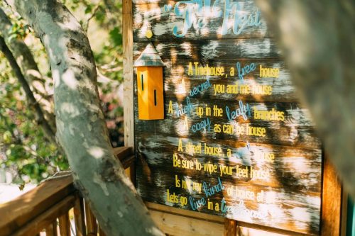 A wooden sign on a treehouse reads "The Nest" with colorful text and a small birdhouse decoration.