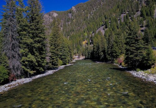 A serene river flows through a forested landscape, surrounded by tall trees and mountains under a clear blue sky.