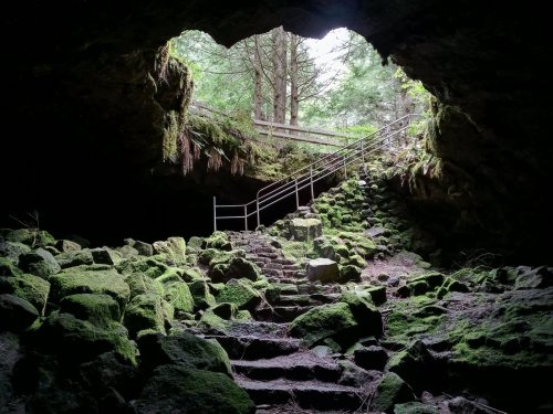 A moss-covered cave entrance with stone steps leading up to a wooden railing and lush greenery above.