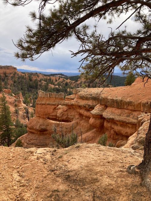 A rocky landscape with layered cliffs and pine trees under a cloudy sky in a natural setting.