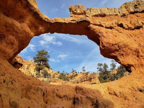 A natural rock arch frames a blue sky with scattered clouds, surrounded by orange-hued cliffs and pine trees.