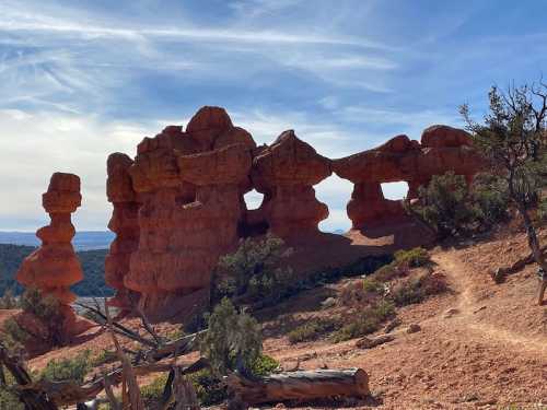 Red rock formations with unique shapes under a blue sky, surrounded by sparse vegetation and a dirt path.