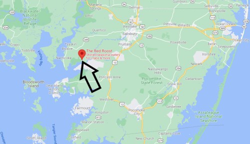 Map showing the location of The Red Roost, a seasonal eatery for crabs and more, near the coast of Maryland.