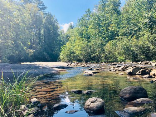 A serene river scene with clear water, smooth stones, and lush green trees under a bright blue sky.