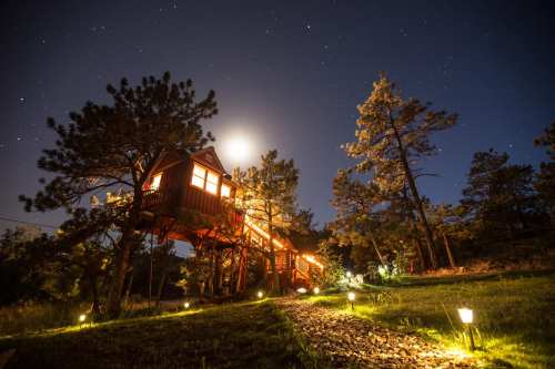 A treehouse illuminated at night, surrounded by trees and a clear starry sky, with a bright moon overhead.