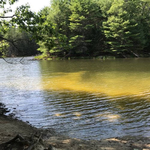 A serene river scene with calm water reflecting green trees along the shore under a clear blue sky.