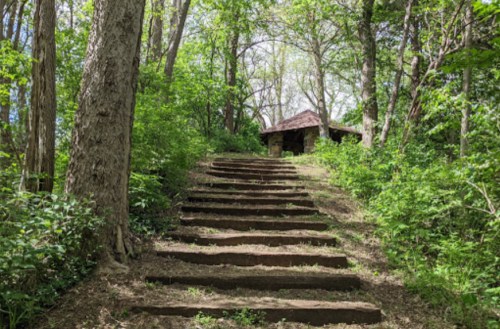 A stone staircase leads through lush greenery to a small, rustic building nestled among trees.