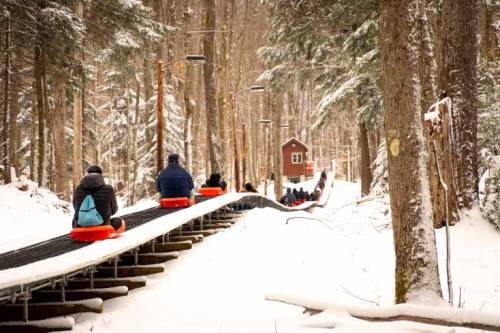 People on snow tubes slide down a snowy path in a forest, with trees and a small cabin in the background.