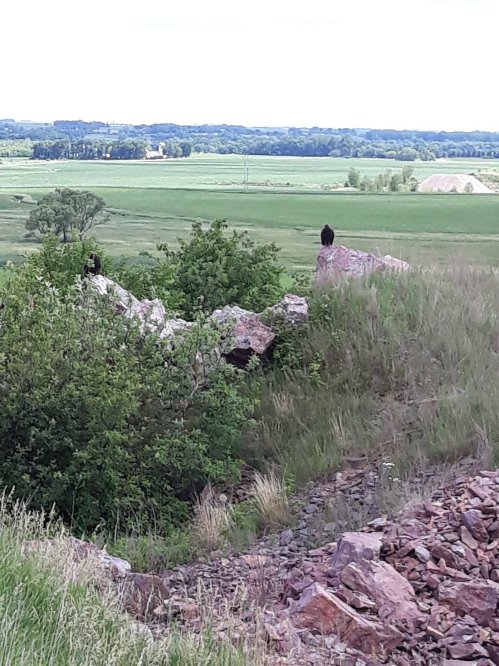 A rocky landscape with green vegetation and a distant view of fields under a cloudy sky.