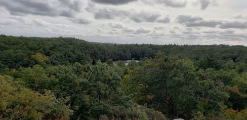A panoramic view of a lush green forest with a river visible in the distance under a cloudy sky.