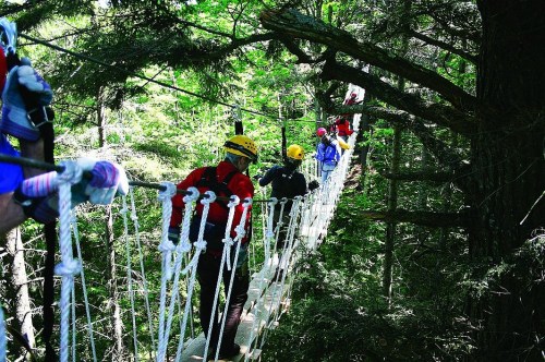 A group of people in helmets crossing a rope bridge high above the forest floor, surrounded by lush green trees.