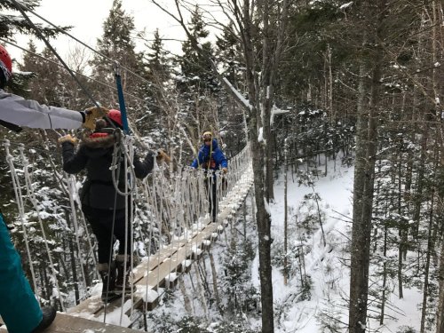 Two people cross a snowy suspension bridge in a forest, surrounded by tall trees and winter scenery.