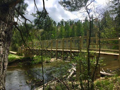 A wooden bridge spans a stream, surrounded by lush greenery and trees under a partly cloudy sky.