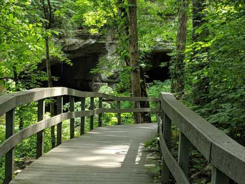 A wooden bridge leads through lush greenery towards a dark cave entrance in a forested area.