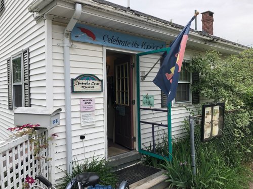 Entrance of the Zimbleton Cove Museum, featuring a sign and a flag, surrounded by greenery and flowers.