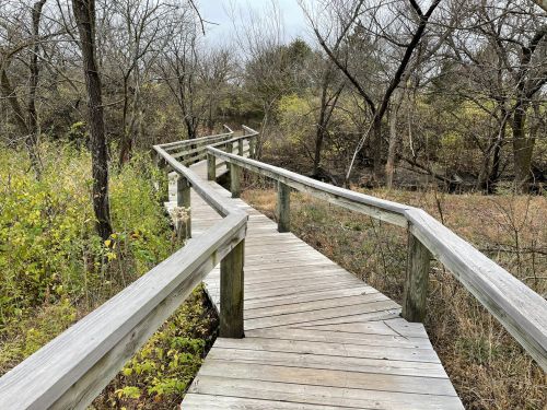 A winding wooden boardwalk through a natural area with sparse trees and greenery.