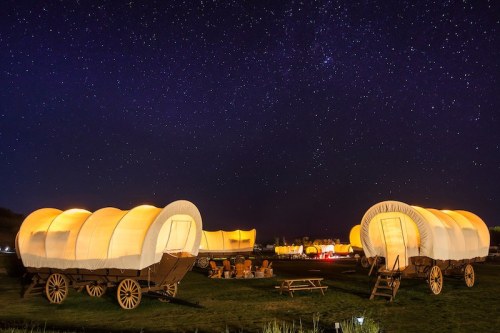 Covered wagons illuminated under a starry night sky, set in a grassy area with picnic tables nearby.