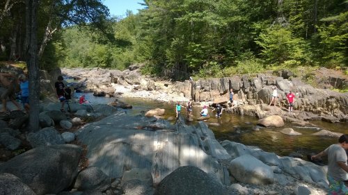 People exploring a rocky riverbank surrounded by lush greenery on a sunny day.