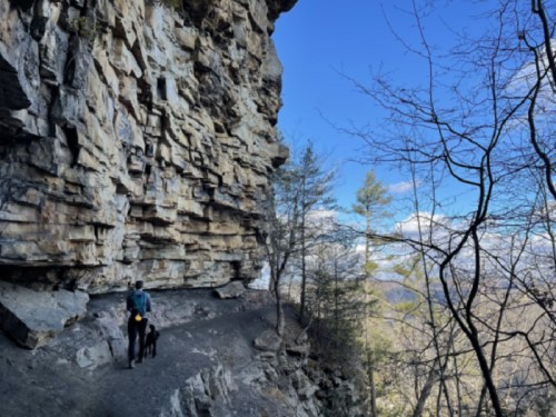 A person walks a dog along a rocky trail with trees and mountains in the background under a clear blue sky.