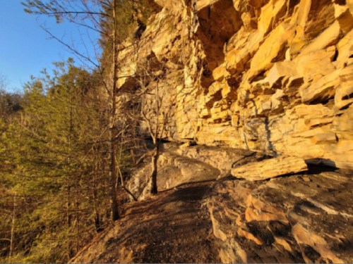A rocky cliffside with trees along a winding path under a clear blue sky.