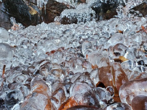 A close-up of a frozen landscape, featuring numerous clear ice formations over brown leaves and rocks.