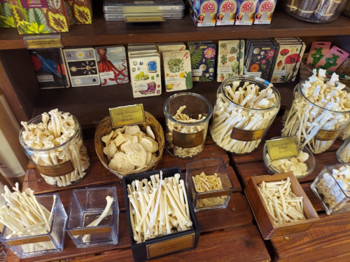 A display of various dried herbs and roots in glass jars and containers on a wooden shelf.