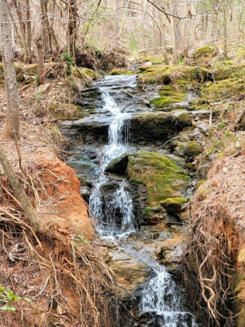 A serene stream flows over moss-covered rocks in a wooded area, surrounded by trees and earthy tones.