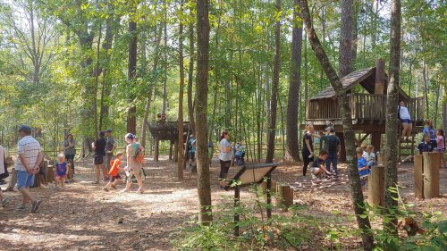 A busy forest playground with children and adults exploring treehouses and nature trails among tall trees.