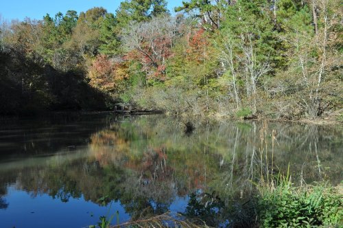 A serene pond surrounded by trees displaying autumn colors, reflecting the vibrant foliage on the water's surface.
