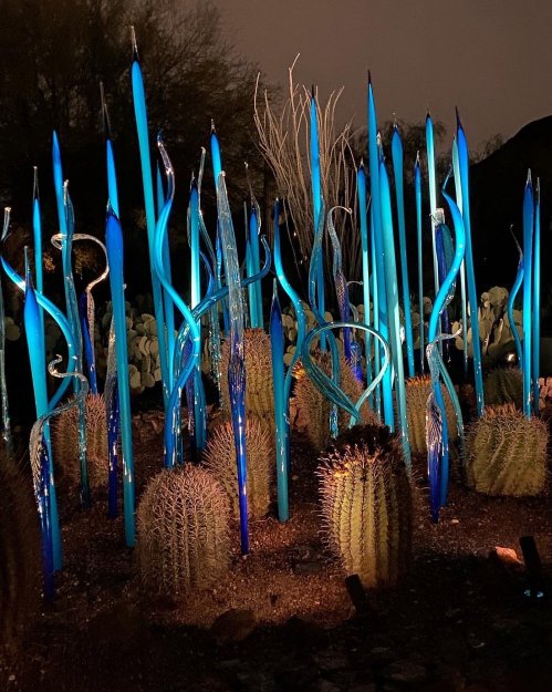 Colorful glass sculptures resembling tall, twisting plants illuminated at night among cacti in a desert landscape.