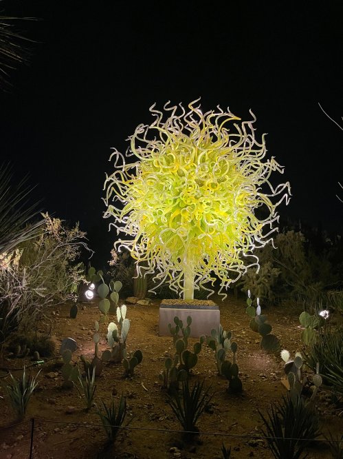 A vibrant, glowing glass sculpture resembling a sun, surrounded by desert plants at night.