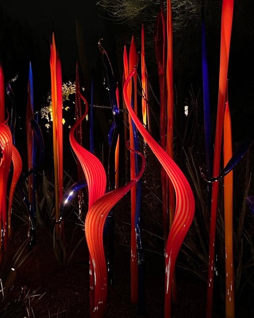 Colorful glass sculptures in vibrant red, orange, and blue, illuminated against a dark background.
