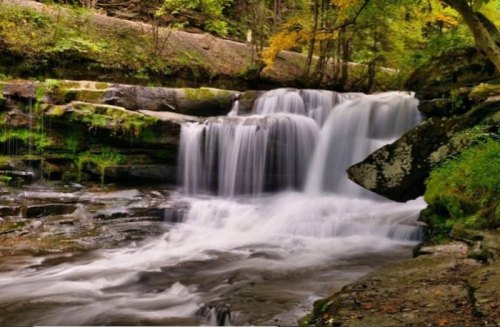 A serene waterfall cascades over rocks, surrounded by lush greenery and autumn foliage.