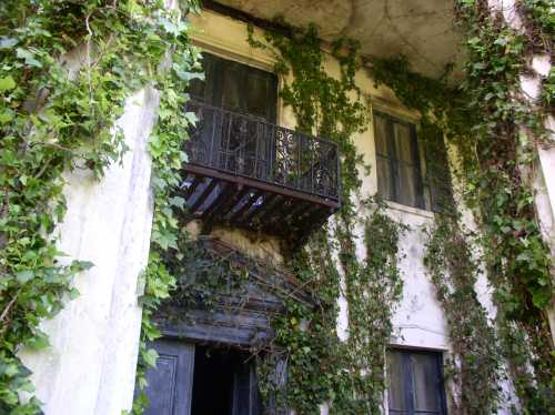 An old building covered in green ivy, featuring a balcony with a wrought iron railing and dark windows.