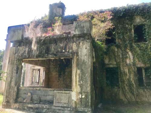 Abandoned building covered in vines, with crumbling walls and broken windows, surrounded by overgrown vegetation.